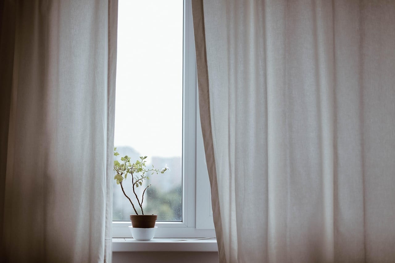 Two windows and a few plants: the easiest calm there is.