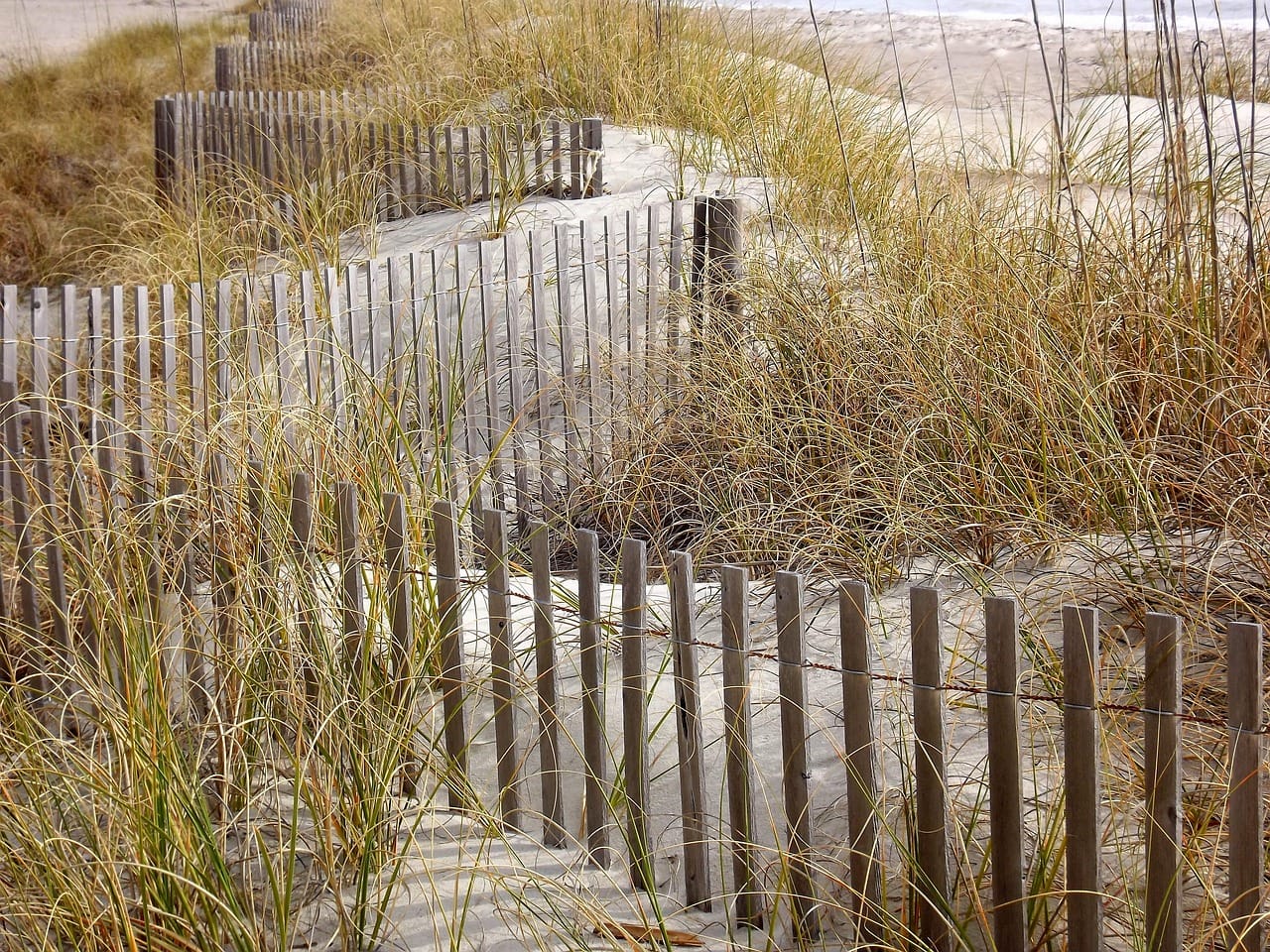 A dune's shape is a diagram of the wind.
